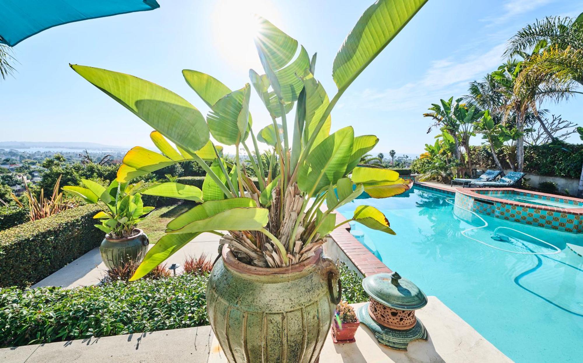 360 Degree Ocean & City Views With Pool, Spa, Close To The Beach! Pets Ok San Diego Exteriér fotografie